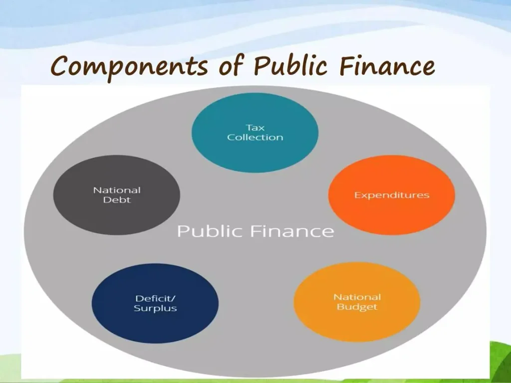 Four main components of public finance: revenue, expenditure, public debt, and fiscal policy.